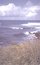 PG_507A