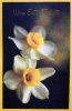 EA03_1008&nbsp;&nbsp-&nbsp;&nbsp;Item #EA_107