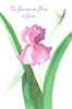 EA_018E&nbsp;&nbsp-&nbsp;&nbsp;Item #EA_018E