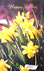 EA_062&nbsp;&nbsp-&nbsp;&nbsp;Item #EA_062