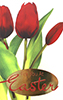 EA03_1004&nbsp;&nbsp-&nbsp;&nbsp;Item #EA_103