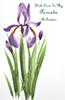 EA_202&nbsp;&nbsp-&nbsp;&nbsp;Item #EA_202