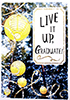 WGR_009**  -  Item #WGR_009**