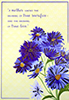 WMD_019**  -  Item #WMD_019**
