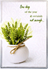 WMD_025**  -  Item #WMD_025**