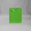 Sm Light Green Bag &nbsp-  Item #SB54