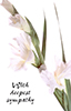PG_450  -  Item #PG_450